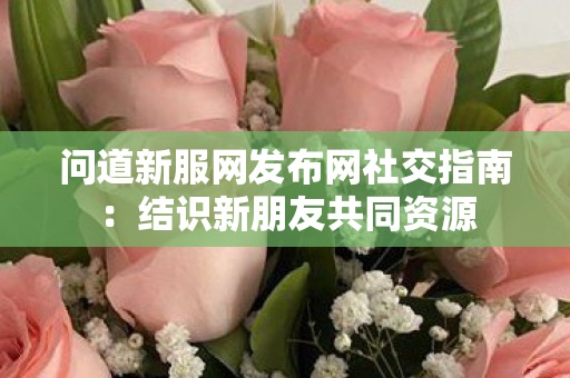 问道新服网发布网社交指南：结识新朋友共同资源